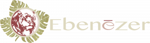 Ebenezer-Logo-2017-300×86